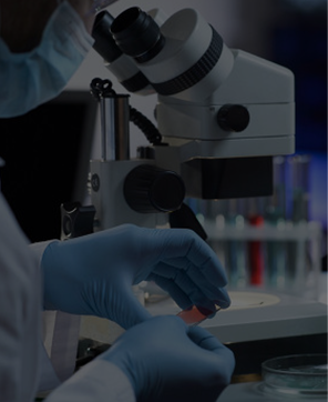 上海研鱼检测技术有限公司